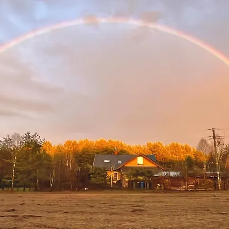 Dom wakacyjny Raj Na Kaszubach - Pałubicka Bór - Na Wynajem *