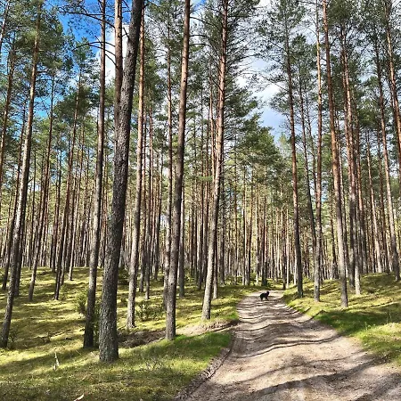 Raj Na Kaszubach - Pałubicka Bór - Na Wynajem Сasa de vacaciones *