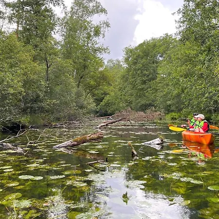 度假居 Raj Na Kaszubach - Palubicka Bor - Na Wynajem