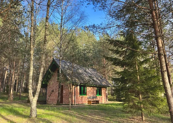 Dom wakacyjny Raj Na Kaszubach - Pałubicka Bór - Na Wynajem *