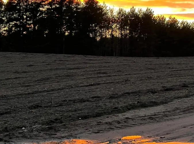 Raj Na Kaszubach - Pałubicka Bór - Na Wynajem