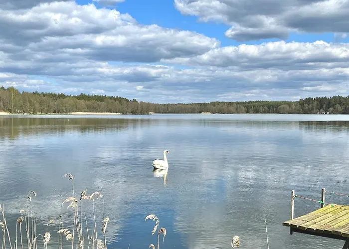 Raj Na Kaszubach - Pałubicka Bór - Na Wynajem Klaczno
