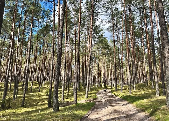 Raj Na Kaszubach - Pałubicka Bór - Na Wynajem Сasa de vacaciones *