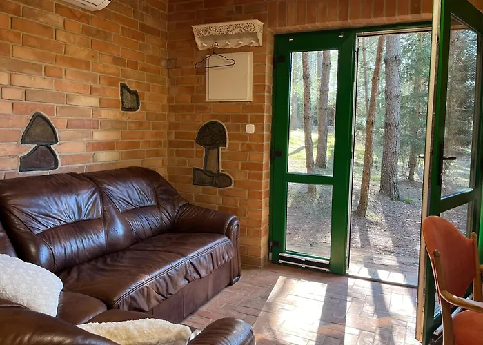 Raj Na Kaszubach - Pałubicka Bór - Na Wynajem Klaczno