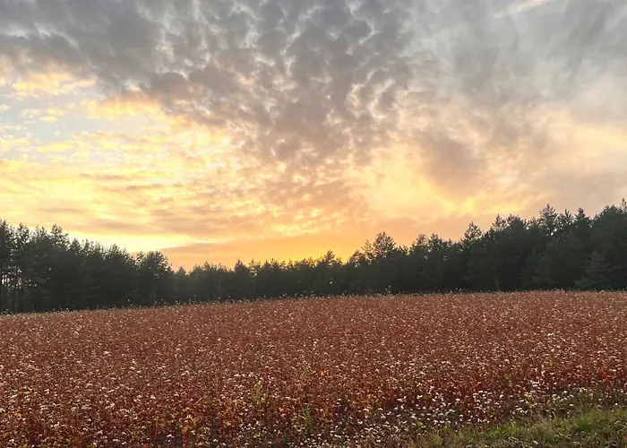 Raj Na Kaszubach - Pałubicka Bór - Na Wynajem Сasa de vacaciones *
